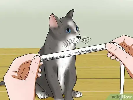 Image titled Measure Clothing for Your Cat Step 1