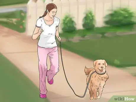 Image titled Get Along with Your Dog Step 6