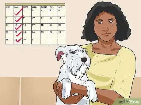 Image titled Clean a Terrier's Ears Step 9