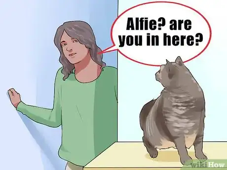 Image titled Keep an Old Cat Young at Heart Step 4