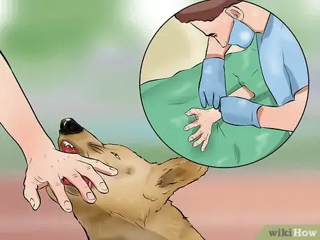 Image titled Care for a Cut Step 9