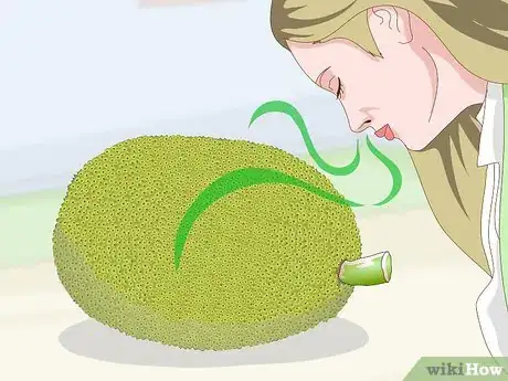 Image titled Buy Jackfruit Step 7