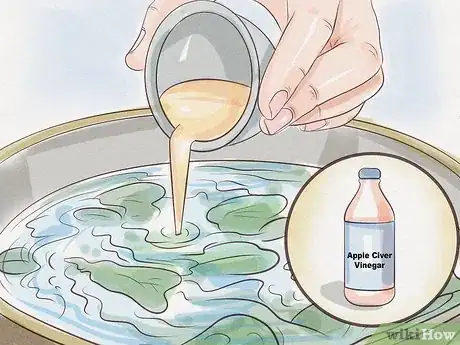 Image titled Clean Swiss Chard Step 5