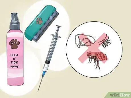 Image titled Keep Your Dog Comfortable Outdoors Step 8