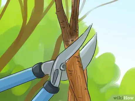 Image titled Prune a Crabapple Tree Step 12