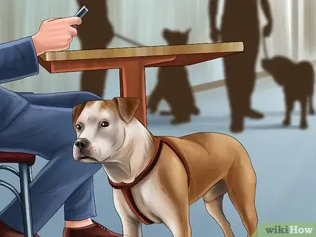 Image titled Keep Your Dog and Other Dogs Safe at the Vet Step 6