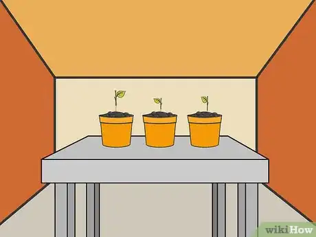 Image titled Grow Hot Peppers Step 6