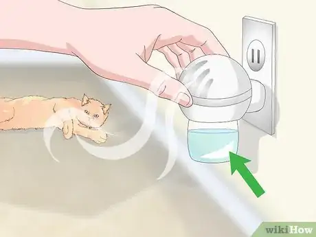 Image titled Manage Wool Sucking in Cats Step 7