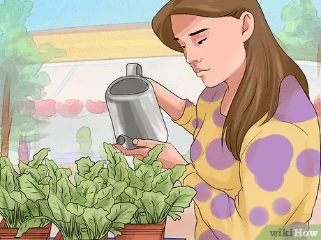 Image titled Grow Chard Step 9