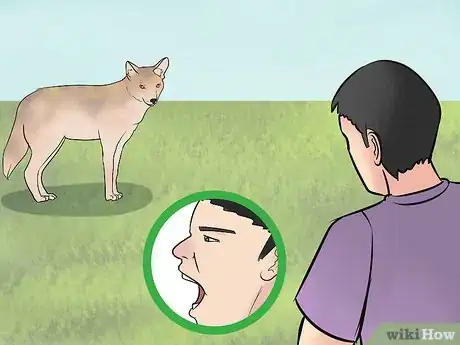 Image titled Deter Coyotes Step 8