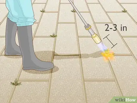 Image titled Burn Weeds in Rocks Step 10