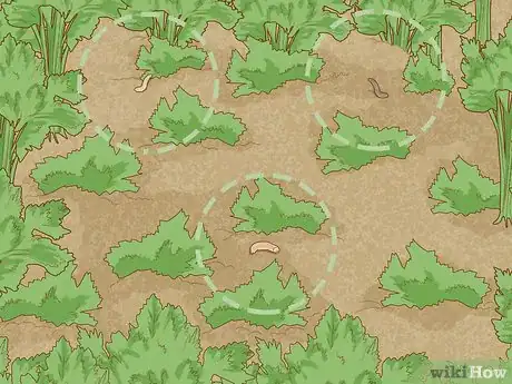 Image titled Identify Cutworm Damage Step 5