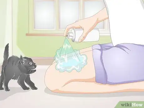 Image titled Stop Your Pet from Licking Lotions and Creams Step 6