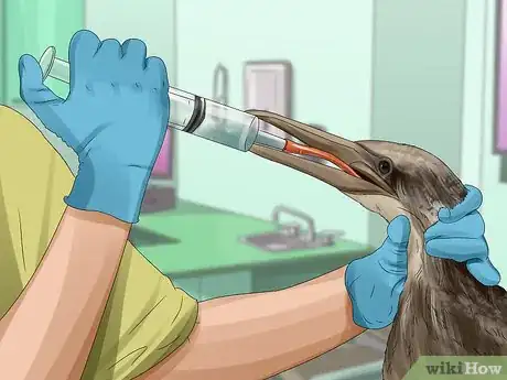 Image titled Clean Oil off Birds Step 9