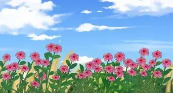 Restore a Native Prairie