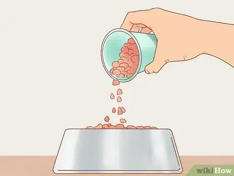 Image titled Raise a Newfoundland Puppy Step 2