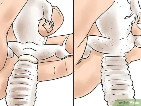 Image titled Breed Leopard Geckos Step 1