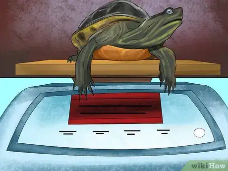 Image titled Diagnose Vitamin a Deficiency in Reptiles Step 9