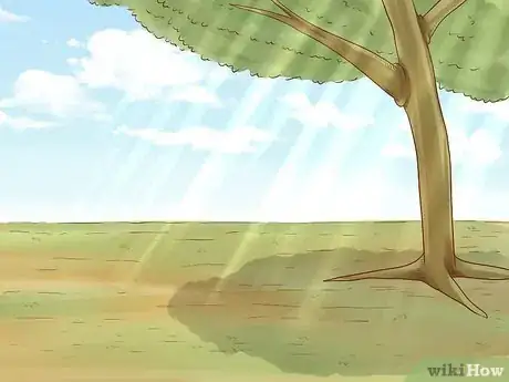 Image titled Grow Elephant Ear Plants Step 2