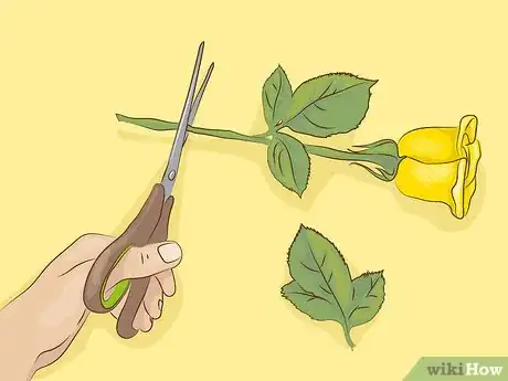 Image titled Reuse Dead Flowers Step 11