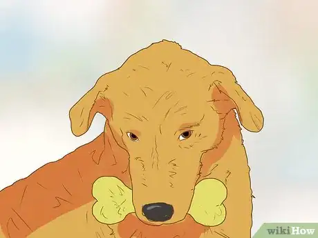 Image titled Get Veterinary Hospice Care for Your Dog Step 14