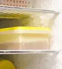 Freeze Soup