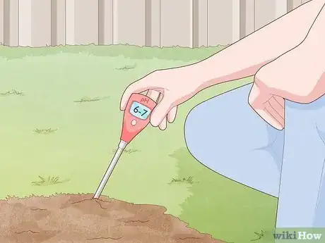 Image titled Plant a Pear Tree Step 3