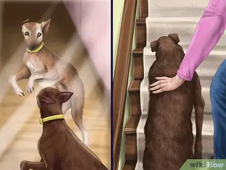 Image titled Care for a Greyhound Step 8