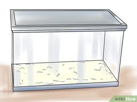 Image titled Breed Leopard Geckos Step 2