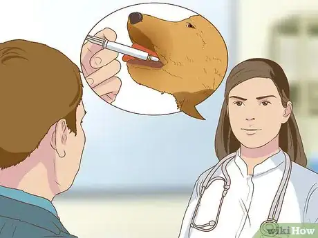 Image titled Get Veterinary Hospice Care for Your Dog Step 11