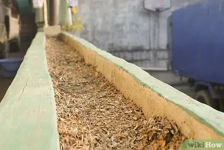 Image titled Make Cute Pictures of Your Hamster Step 1