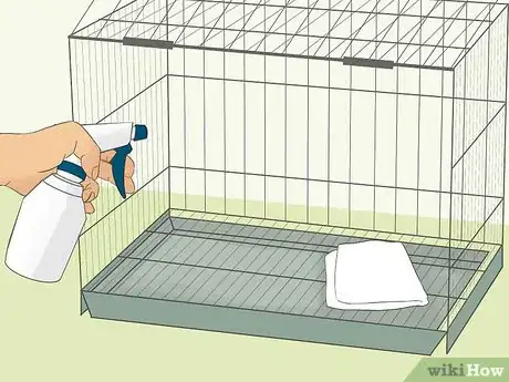 Image titled Bathe Your Pet Rabbit Step 14