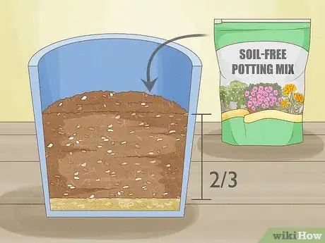 Image titled Transplant Potted Flowers Outdoors Step 11