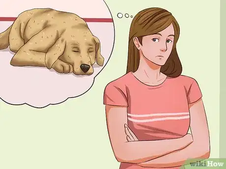 Image titled Ease Your Dog's Stomach Problems Step 1