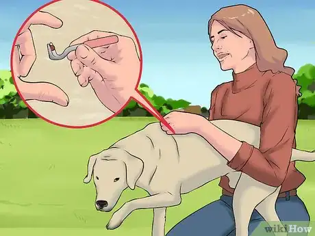 Image titled Reduce Your Lyme Disease Risk Step 8