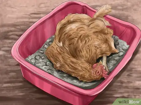 Image titled Build a Chicken Friendly Garden Step 10