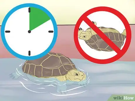 Image titled Bathe a Russian Tortoise Step 6