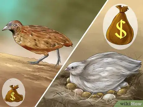Image titled Sell Quail Step 4