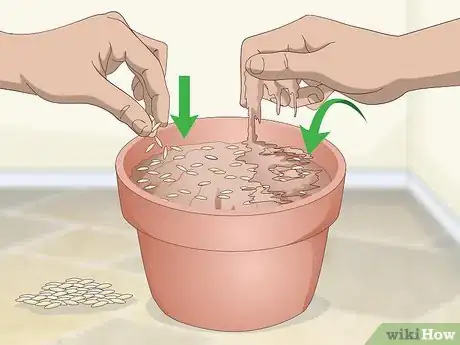 Image titled Make a Grass Pot for Cats Step 2
