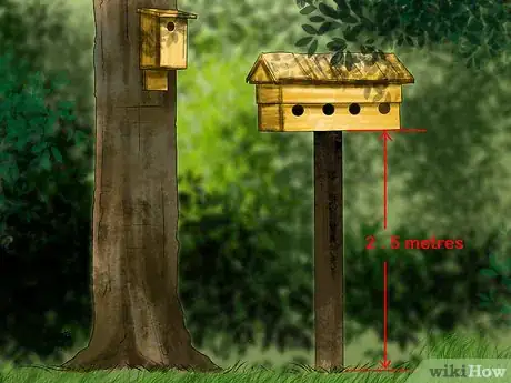 Image titled Attract Barn Owls Step 2