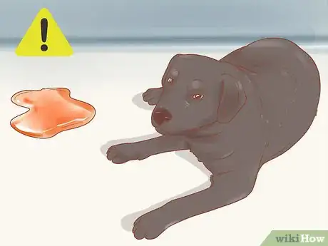 Image titled Know When Your Dog is Sick Step 13