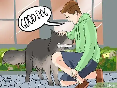 Image titled Stop Your Dog from Chewing Things it Shouldn't Step 3