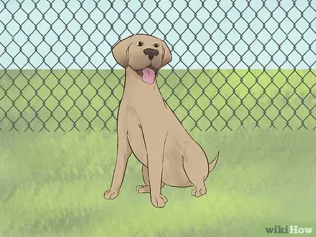 Image titled Deter Coyotes Step 3