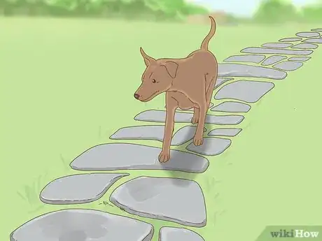 Image titled Keep Dogs Out of Gardens Step 8
