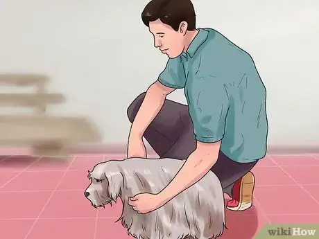 Image titled Get Dogs to Mate Step 21