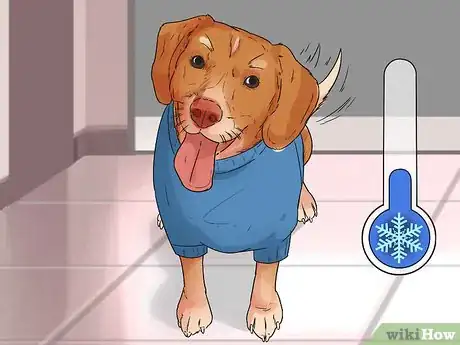Image titled Keep Your Dog Comfortable Indoors Step 12
