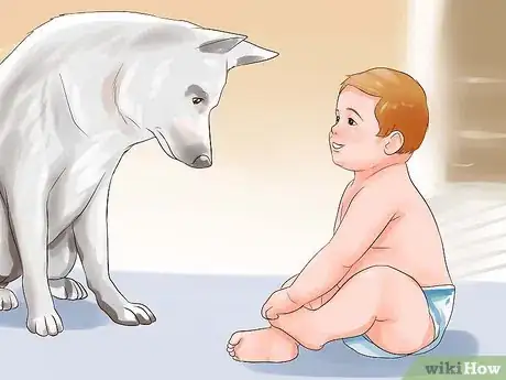 Image titled Get Used to Dogs Step 5