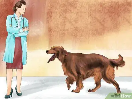 Image titled Diagnose Bone Diseases in Growing Dogs Step 5