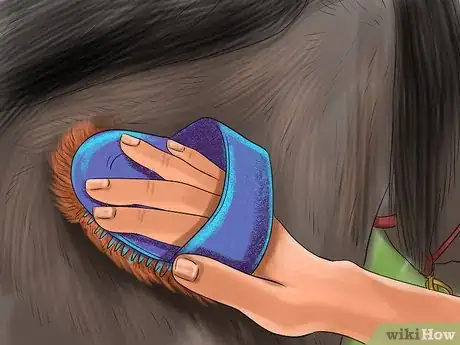 Image titled Keep a Horse Clean on a Budget Step 8