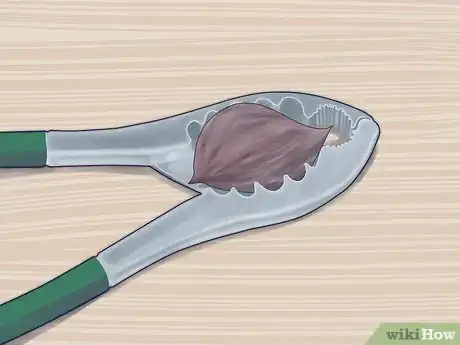 Image titled Plant a Plum Seed Step 5